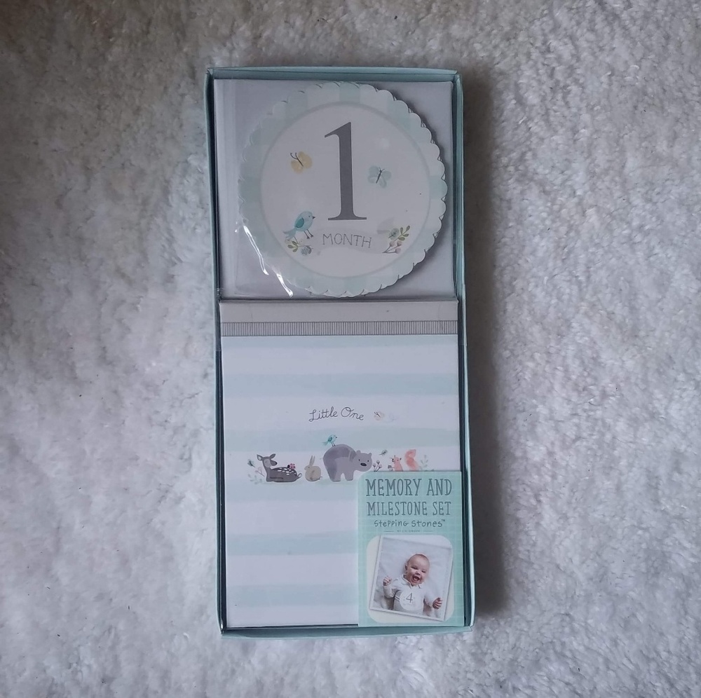 Baby's First Year Milestone Sticker Set